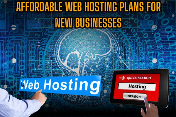 Affordable Web Hosting Plans for New Businesses