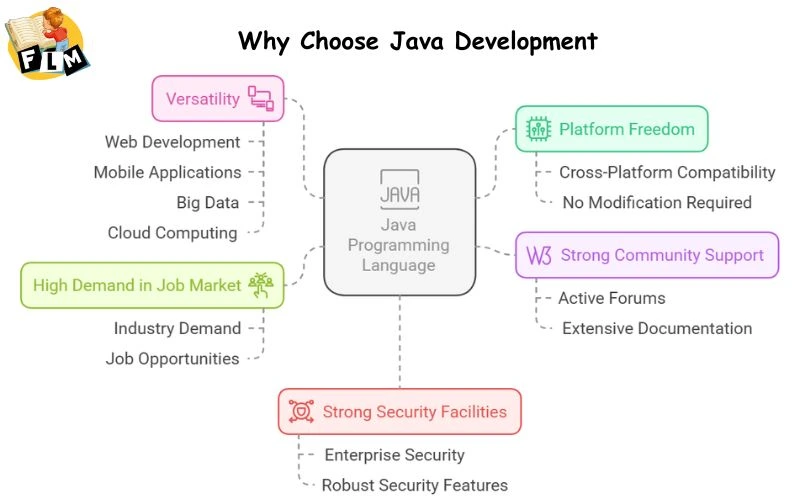 Why Choose Java Development?