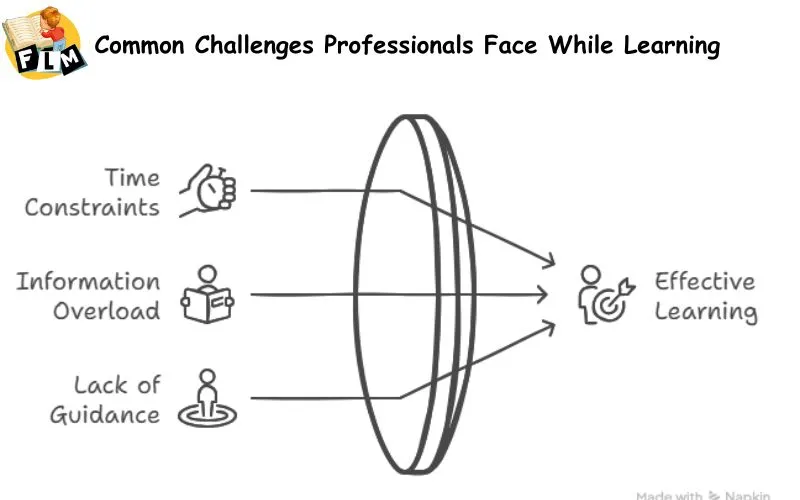Common Challenges Professionals Face While Learning 